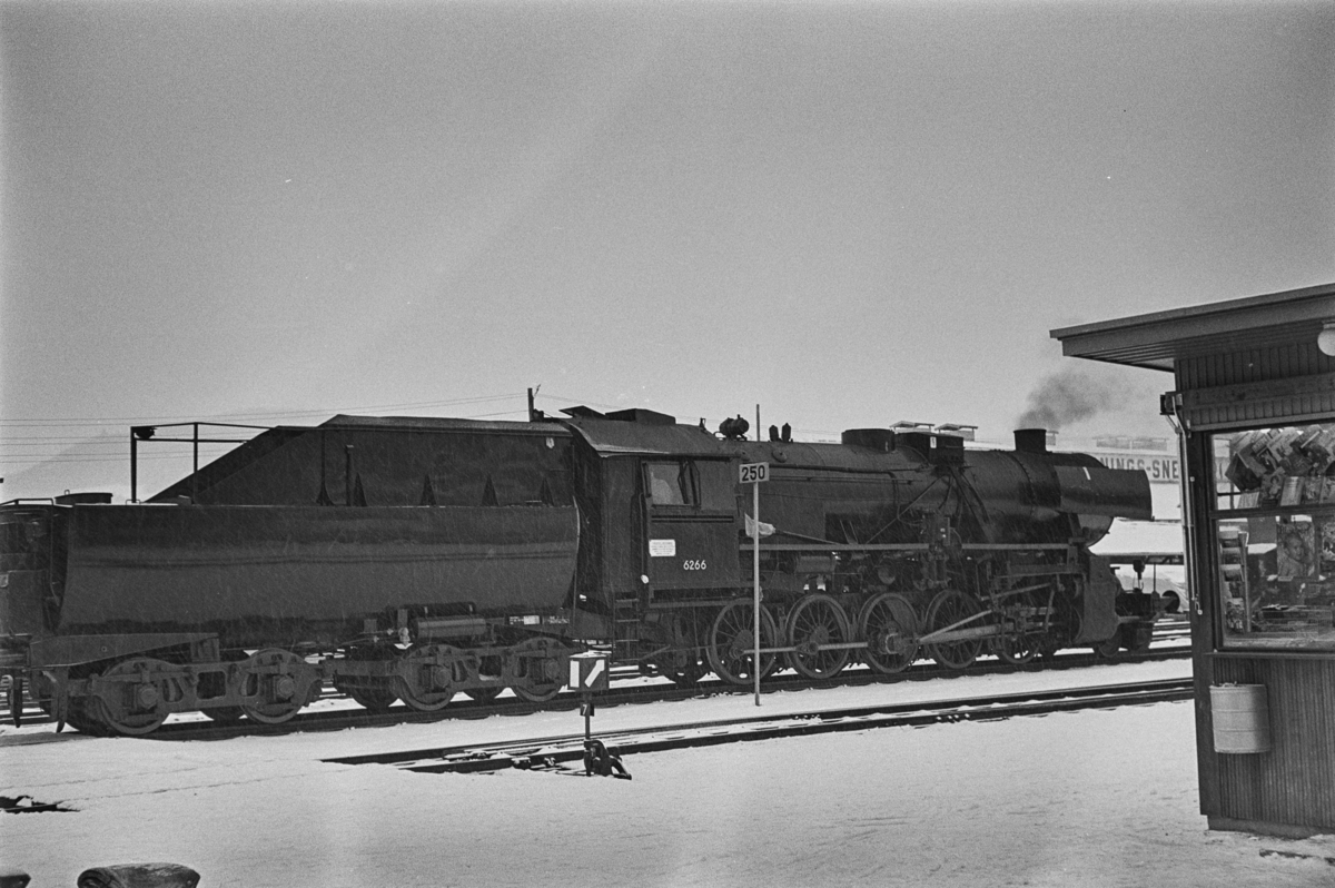 Damplokomotiv type 63a nr. 6266 på Melhus stasjon.