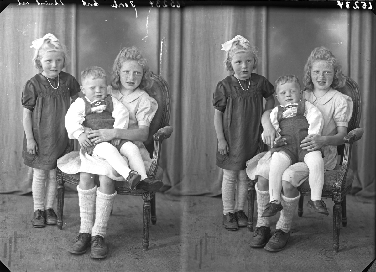 Portrett. Familegruppe på tre. Tre barn To piker og en liten gutt. Bestilt av Lava Sakkestad. Sakkestad.