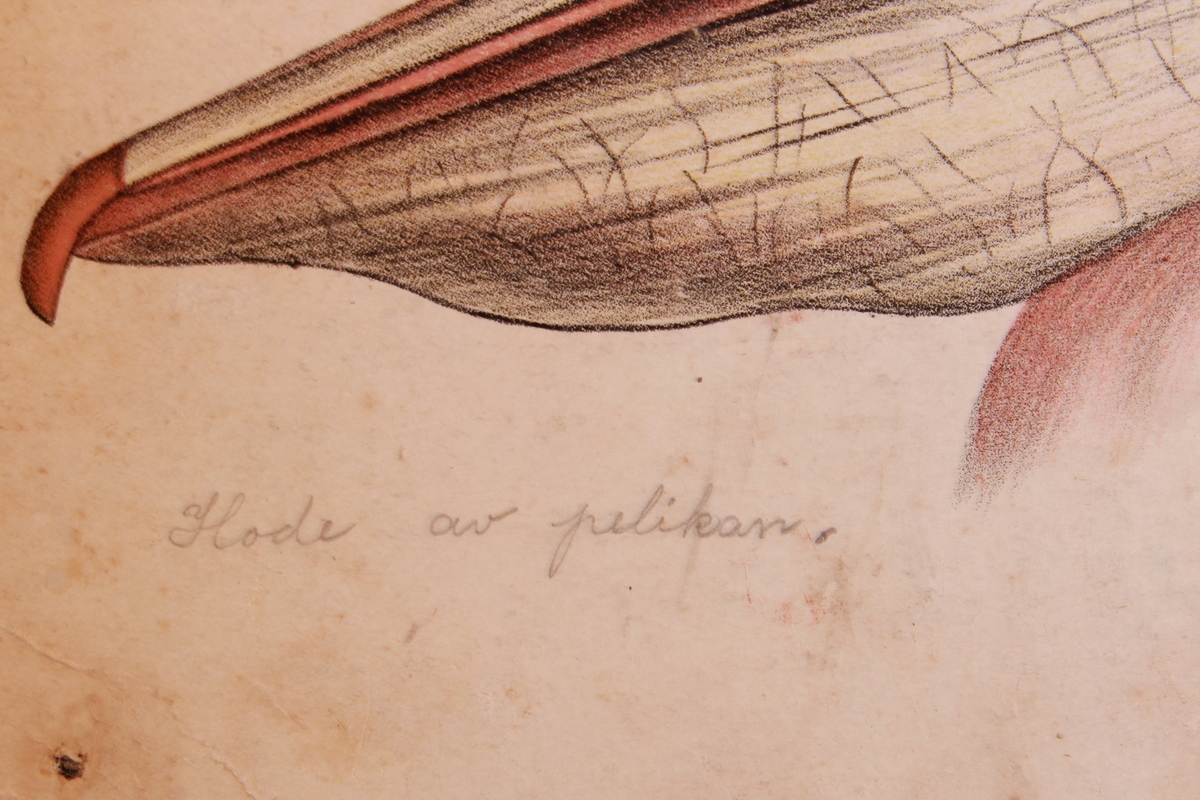 Detaljer av ulike ender.