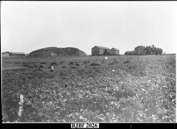 Skjæret, Jøssund, Bjugn. Landskap med gårder.