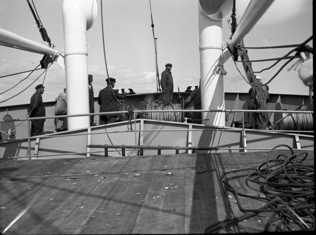 Byggenr. 31 v. Langesund Mekaniske Verksted: Kollbryn
8: "Sakte fart akterover". 
9: "Klar ved winchen".
12: "Kollbryn på slippen 17.5.1951".
13: "Kollbryn ved kaien 24.3.1951".