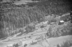 Langvik gård, Østsida, Øyer, 16.07.1959, kulturlandskap, fot