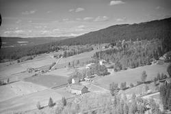 Vinge/Winge gård, Vestsida,Tretten, Øyer, 16.07.1959, kultur