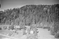 Ukjent gård i li, Øyer, kjøkkenhage, jordbruk, blandingsskog