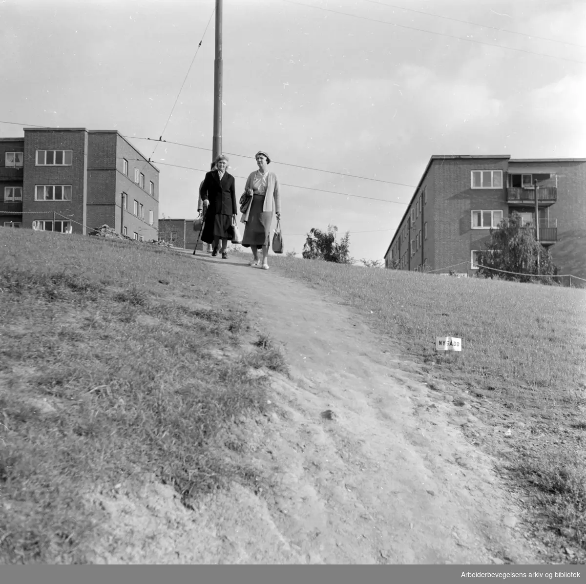 Torshovdalen park. Gangsti. September 1960