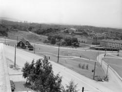 Torshovdalen park. Juni 1953