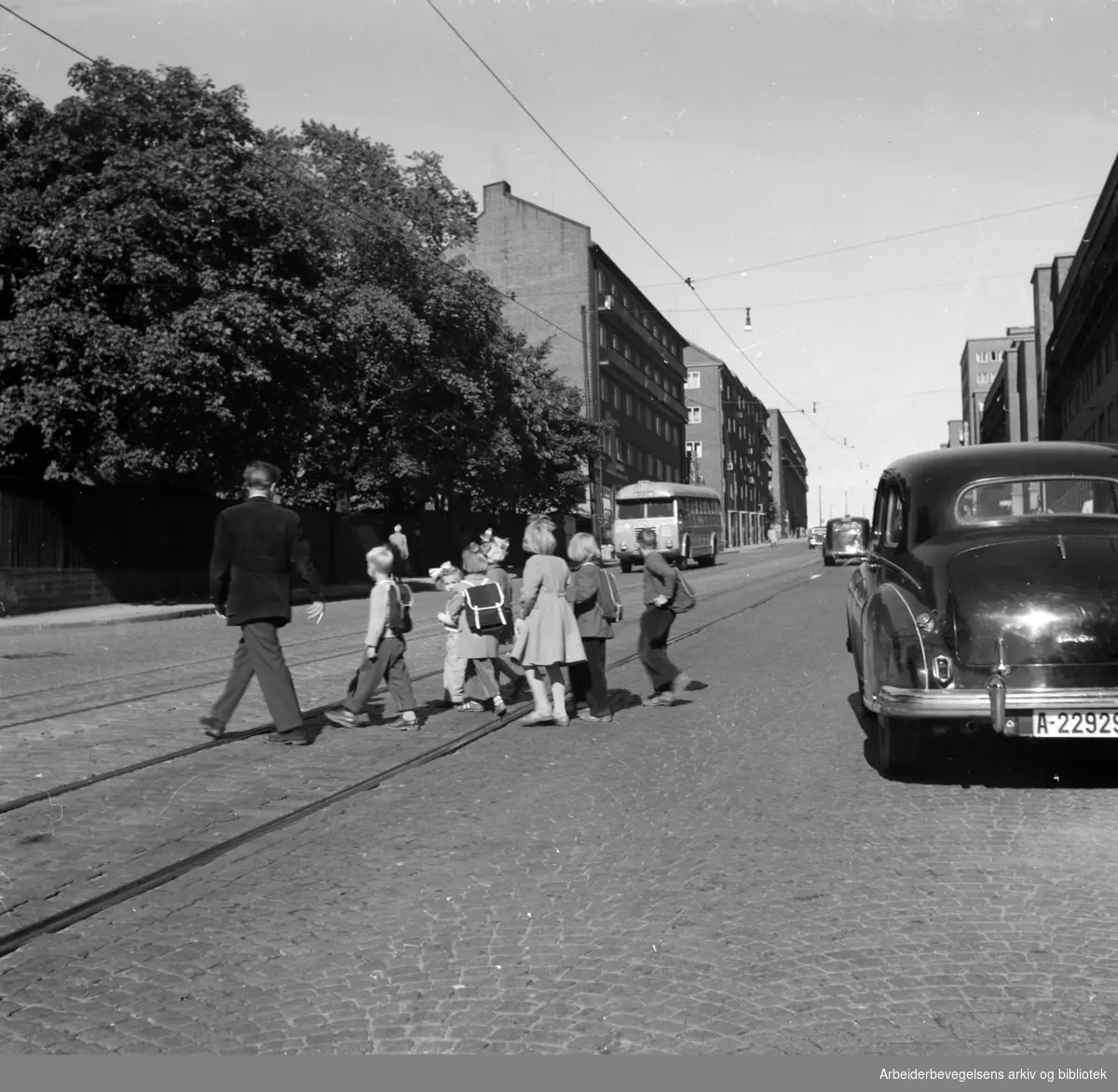 Trondheimsveien. Farlig overgang til Rosenhoff skole. September 1952
