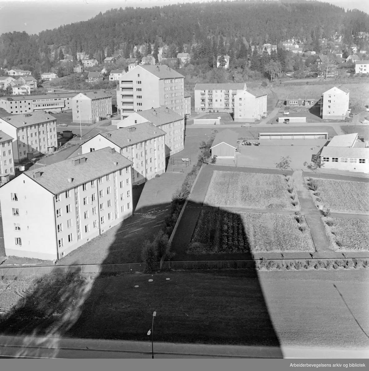 Trondhjemsveien. Høyblokkene på Bjerke. Oktober1962