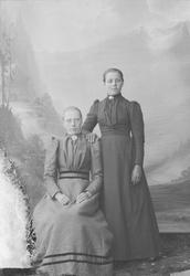 Portrett,  gruppe, to unge kvinner, helfigur, en sitter på s