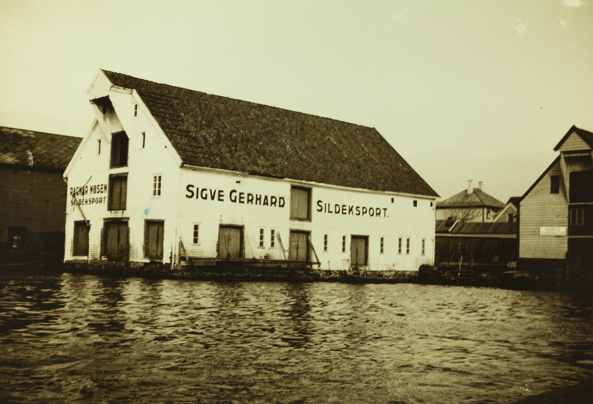 Risøen - Risøy sett mot øst 1938