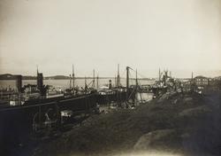 Risøyvågen sett mot nordvest ca.1921