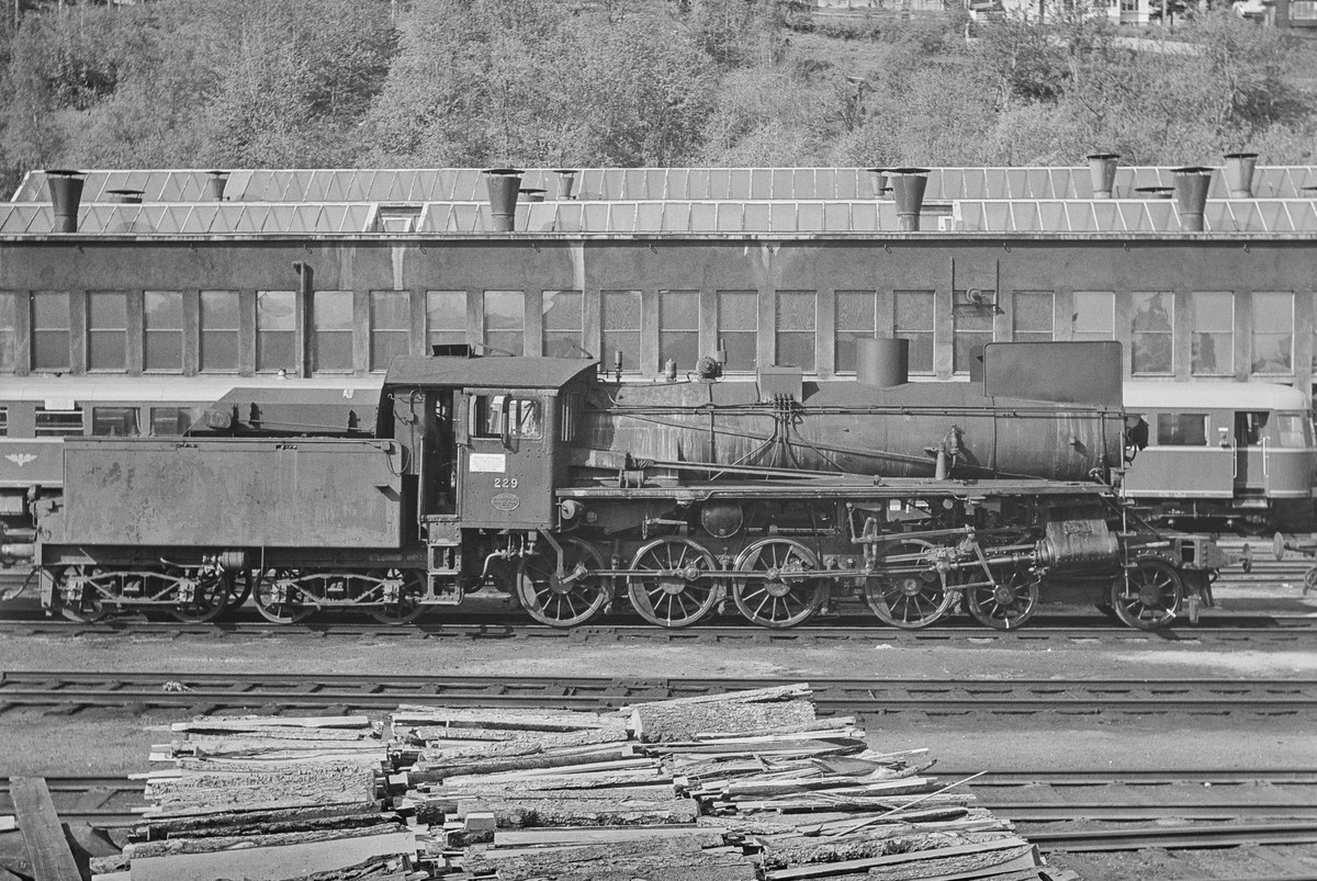 Damplokomotiv type 26b nr. 229 på Marienborg ved Trondheim.