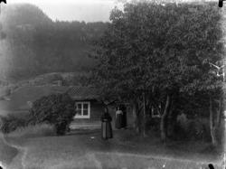 Rikard Berges fotoarkiv. Eksteriør, med folk. Flåbygd, 1907.