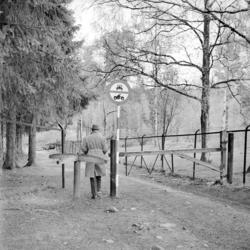 Sognsveien. Ny bom. Juni 1962