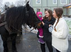Julemarkedet i Øvrebyen Kongsvinger, Hedmark 2014. Jul. Jule