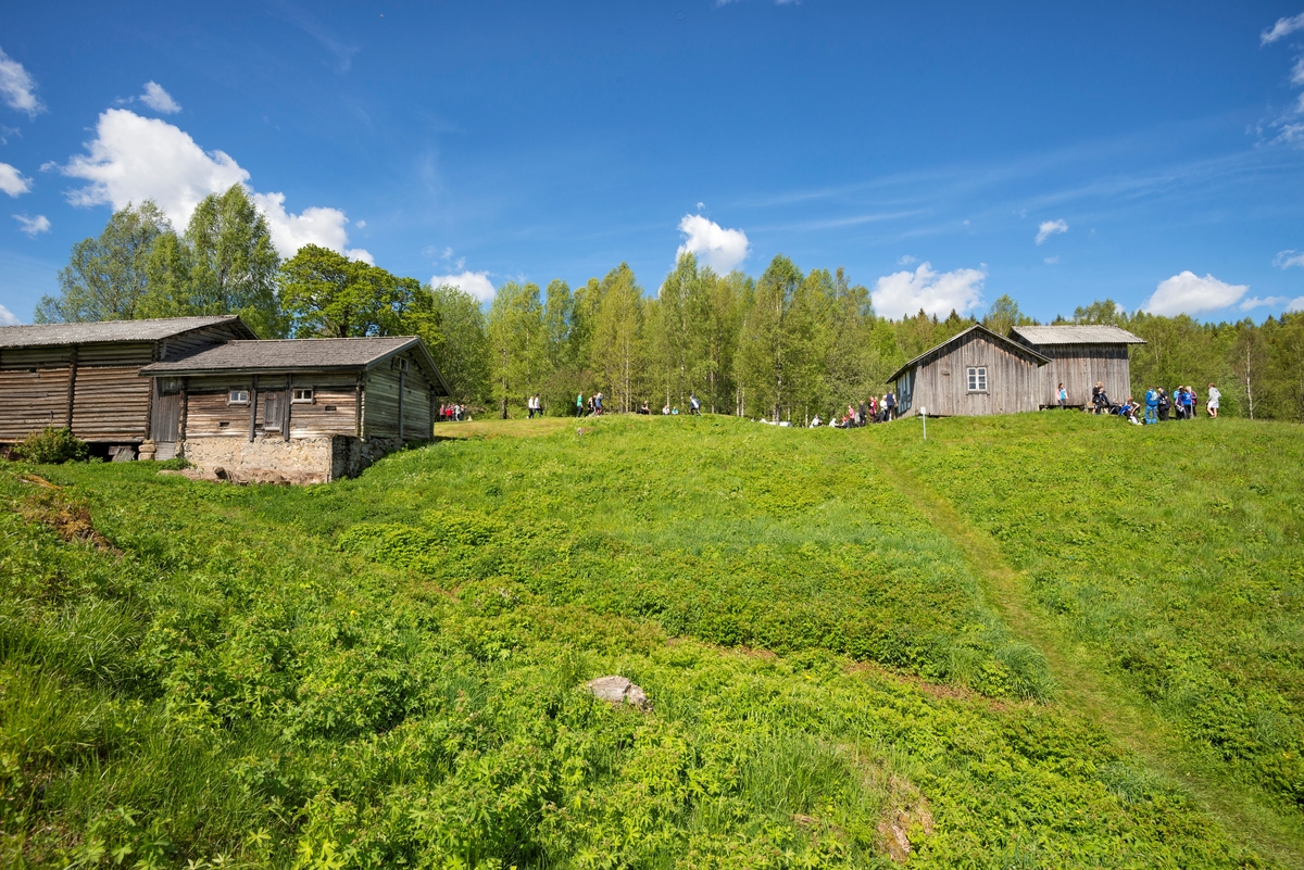 Skoleelever på Oppistun Børli, arrangement i regi av Kongsvinger Museum. Oppistun Børli er en husmannsplass i Eidskog kommune, Hedmark. Den er kjent som et kunstnerhjem ettersom forfatteren Hans Børli (1918–1989) ble født og vokste opp her. Stedet ble ryddet av skogfinner tidlig på 1700-tallet. Børli-familien ble knyttet til stedet da Hans Børlis oldefar bosatte seg her i 1860. Hans Børli bodde i barndomshjemmet fram til 1946. Arrangement. Publikumsarrangement.