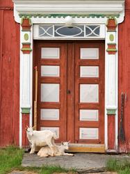Fra "Fløttdagen" på Dølmotunet 2016, Tolga, Hedmark. Musea i