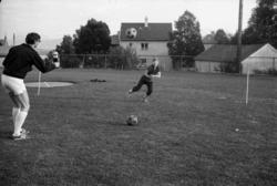 ."Molde FK, MFK, Molde fotballklubb"