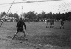 ."Molde FK, MFK, Molde fotballklubb"