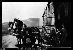 Slåttonn Sygard Nordrum, Kjønås i Ringebu