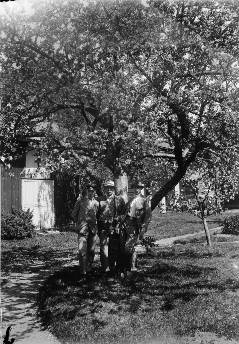 Ruben Liljefors med två av sina söner, står under fruktträd i trädgården, sannolikt i Sverige