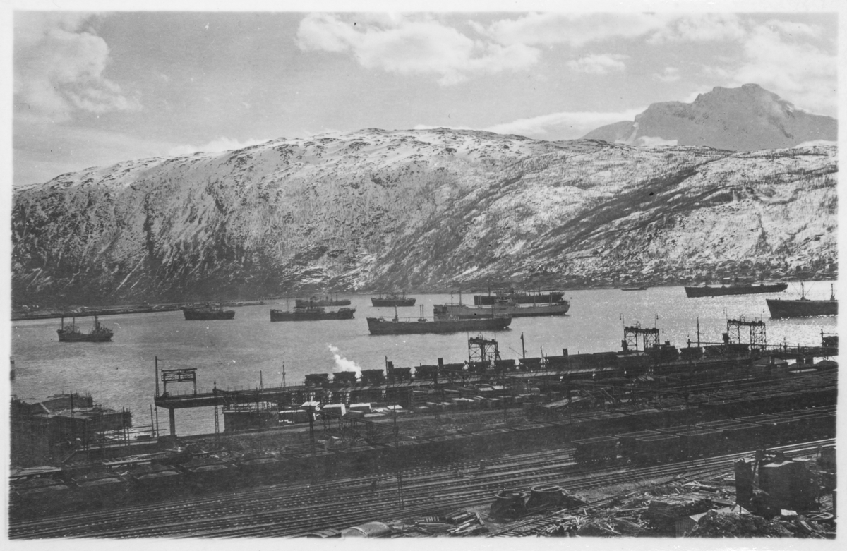Narvik havn med LKABs område i forgrunnen.