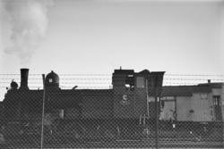 Damplokomotiv type 43a nr. 91 i skiftetjeneste på Trondheim 