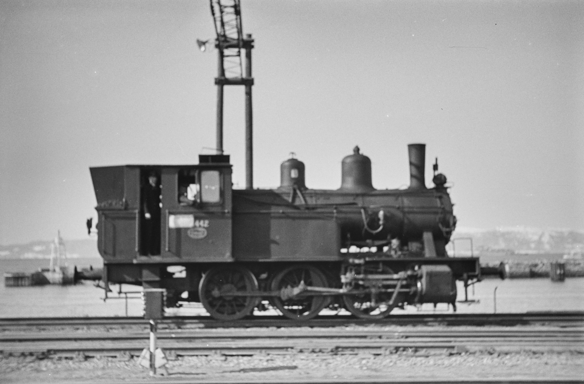 Damplokomotiv type 23b nr. 442 i skiftetjeneste på Trondheim stasjon.