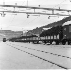 Opplasting av juletre på Gol stasjon (Ill. i "Boka om Gol" b