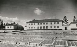 Oxenøen Bruk [Fotografi]