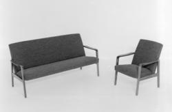 Salong. Sofa og lenestol.