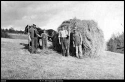 Linækkeren gnr. 9 bnr 2. Venabygd i Ringebu