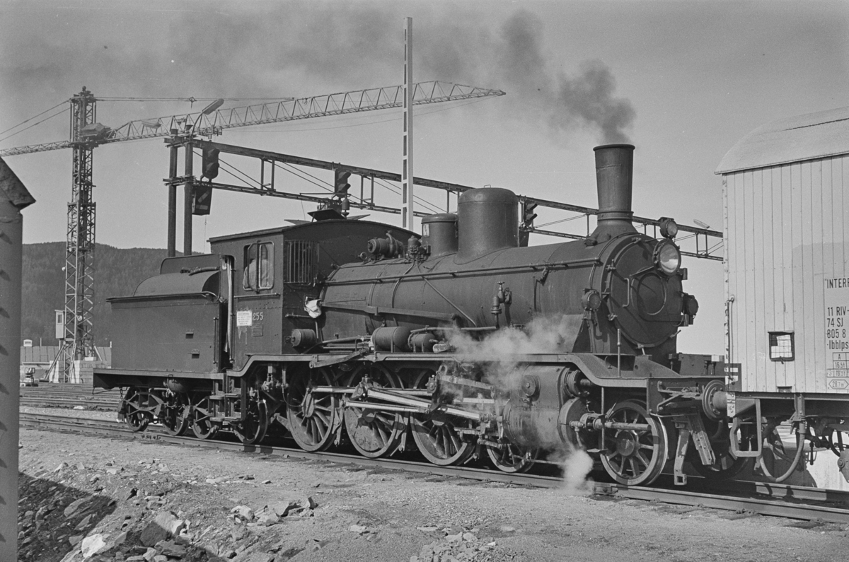 Damplokomotiv type 18c nr. 255 i skiftetjeneste på Trondheim stasjon.