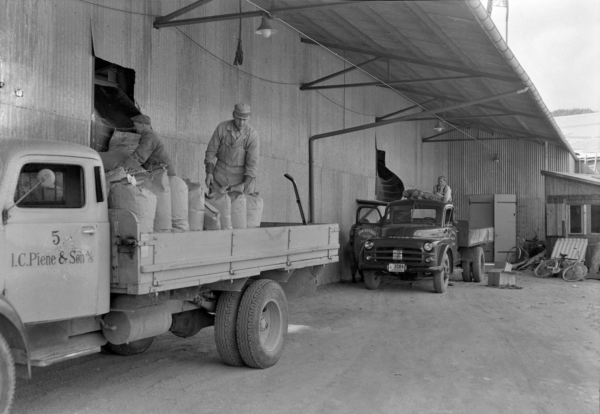 Lasting av lastebiler ved anlegget til I. C. Piene & Søn på Ila Pir