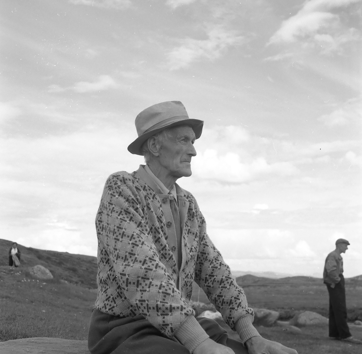 Fra hesteslepp på Bekkelegeret i Folldalsfjellene,Oppdal 1960