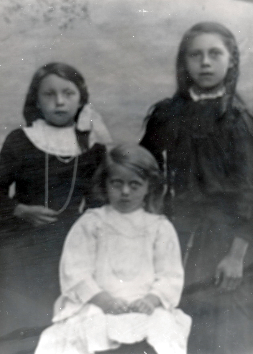Portrett av Signe , Olaug og Anne Holtermann fra Rubbestad i Tranøy
1912