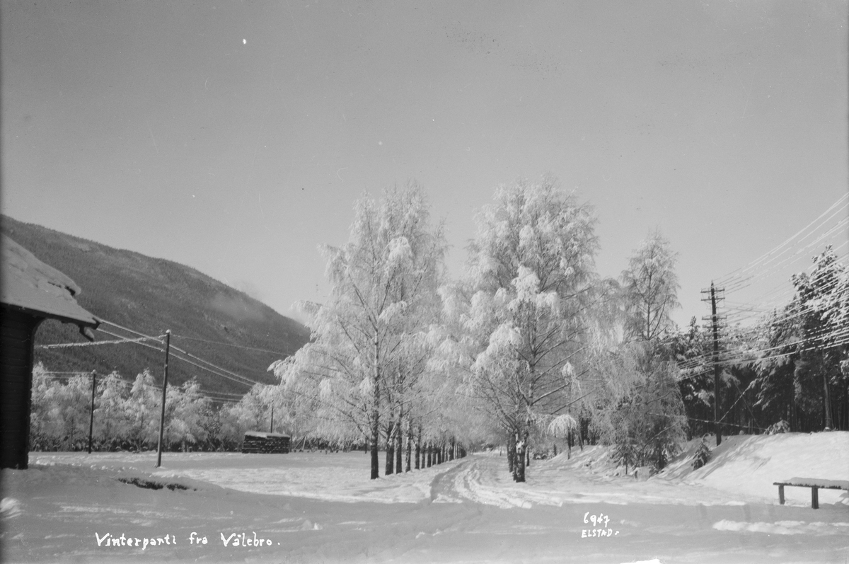 Ringebu. Vintermotiv fra Vålebro med bjørkeallé.