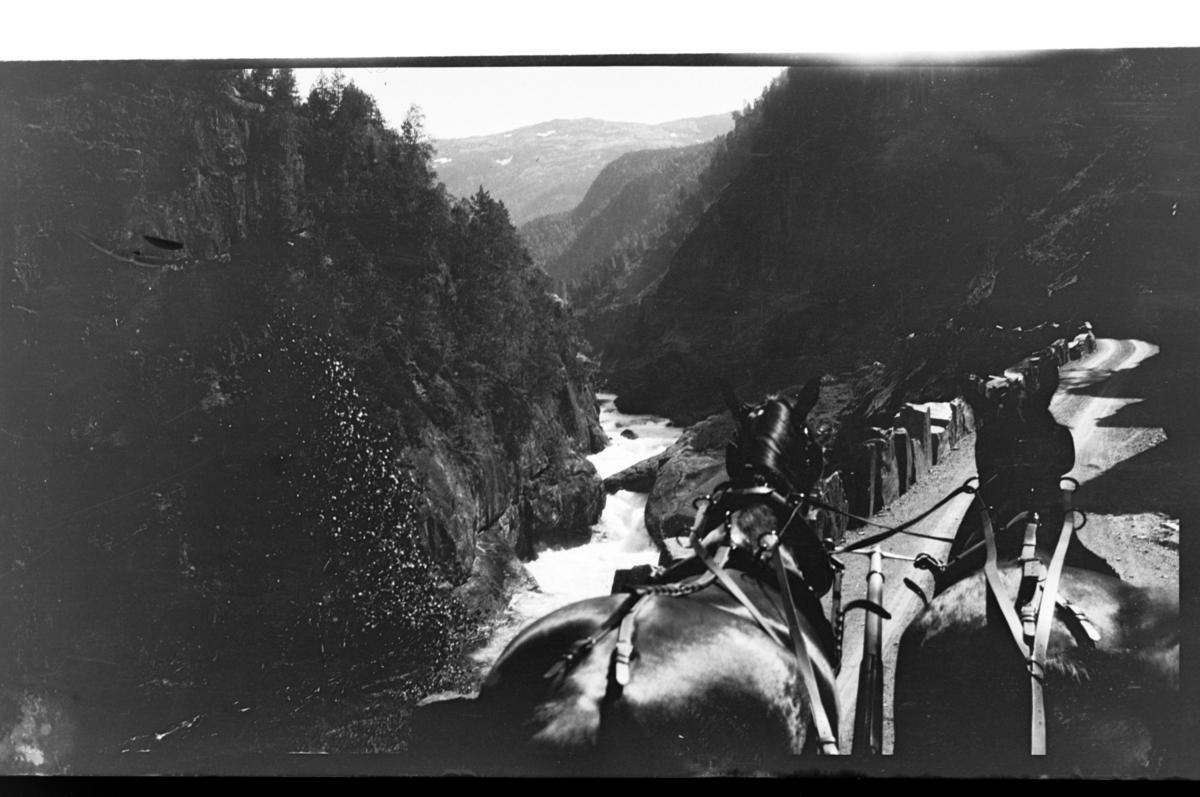 To forspente hester ferdes ved et fjellparti ved en stri elv. Fotografert 1915-1917.