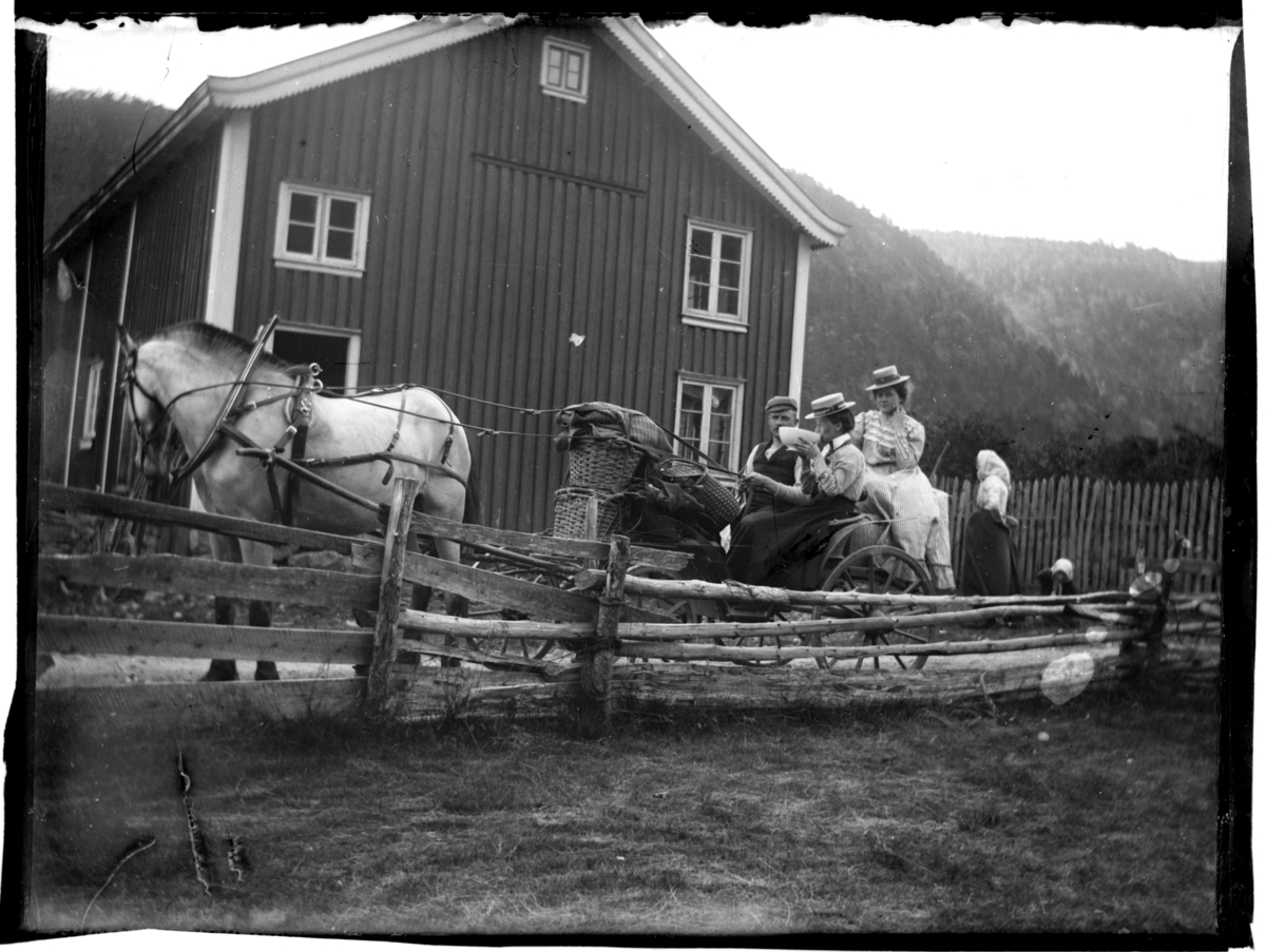 To kvinner og en mann sitter i vogn trukket av en hest. Fotografert 1902.