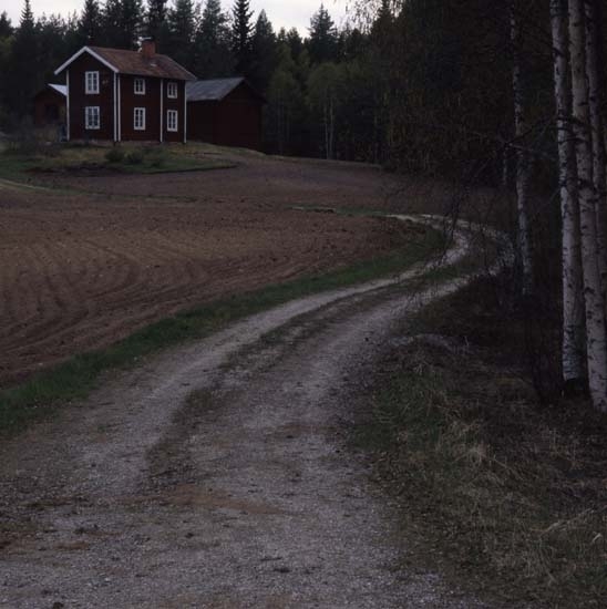 En slingrande grusväg med grässträng i mitten leder fram till en liten gård. Huset ligger vid skogsbrynet och är omgivet av odlingsmark.