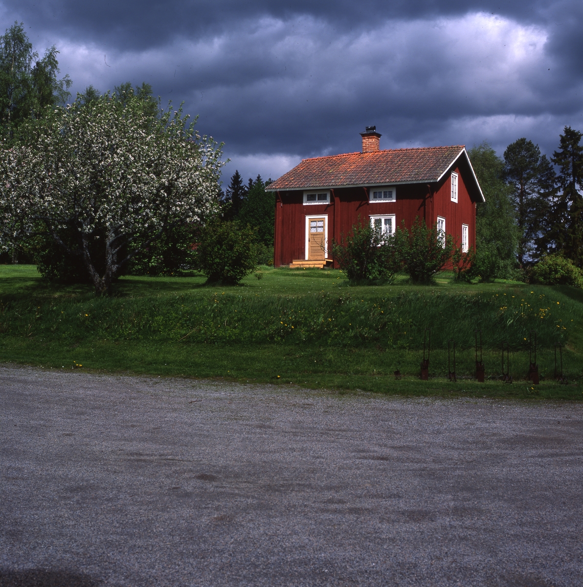Åskmolnen tornar upp sig bakom "Lannbonns" lillstuga och blommande äppelträd i Rengsjö, Mors Dag 28 maj 2000.