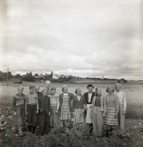 Några vuxna och ungdomar står uppställda på rad mitt i en gönsaksodling. I bakgrunden ser man en gård, en kyrka och en lada. Unga Odlare, Söderhjelm med, augusti - september 1950.