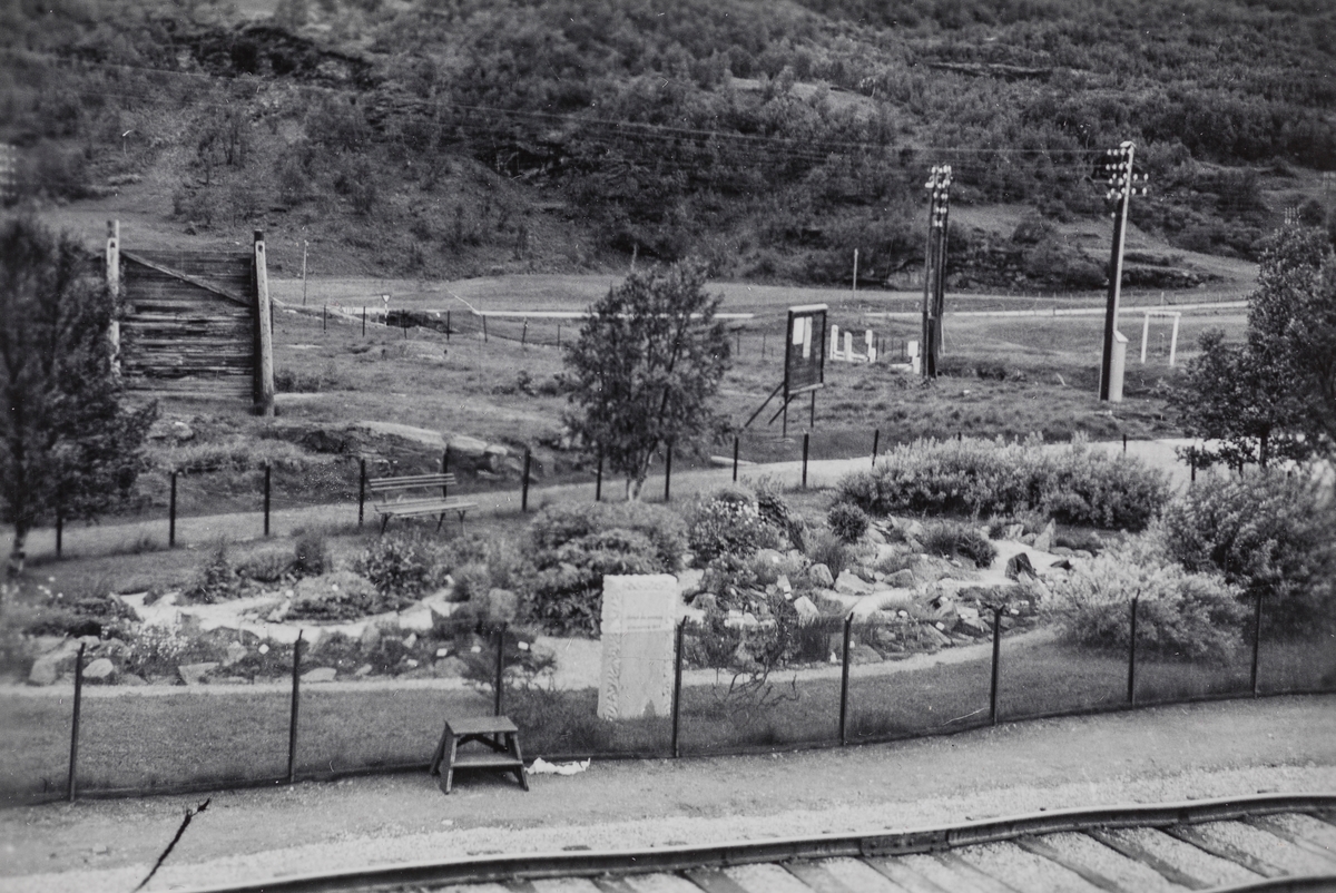 Stasjonshage med fjellblomster på Kongsvoll stasjon.