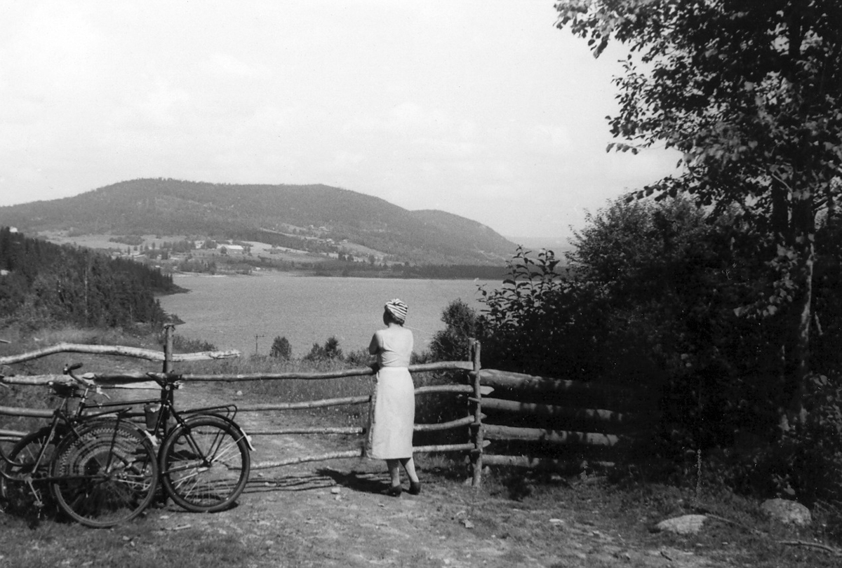 Parti fra vegen mellom Bunes og Fjell en gang på 1930-tallet. Foto: Thorvald Klaveness.