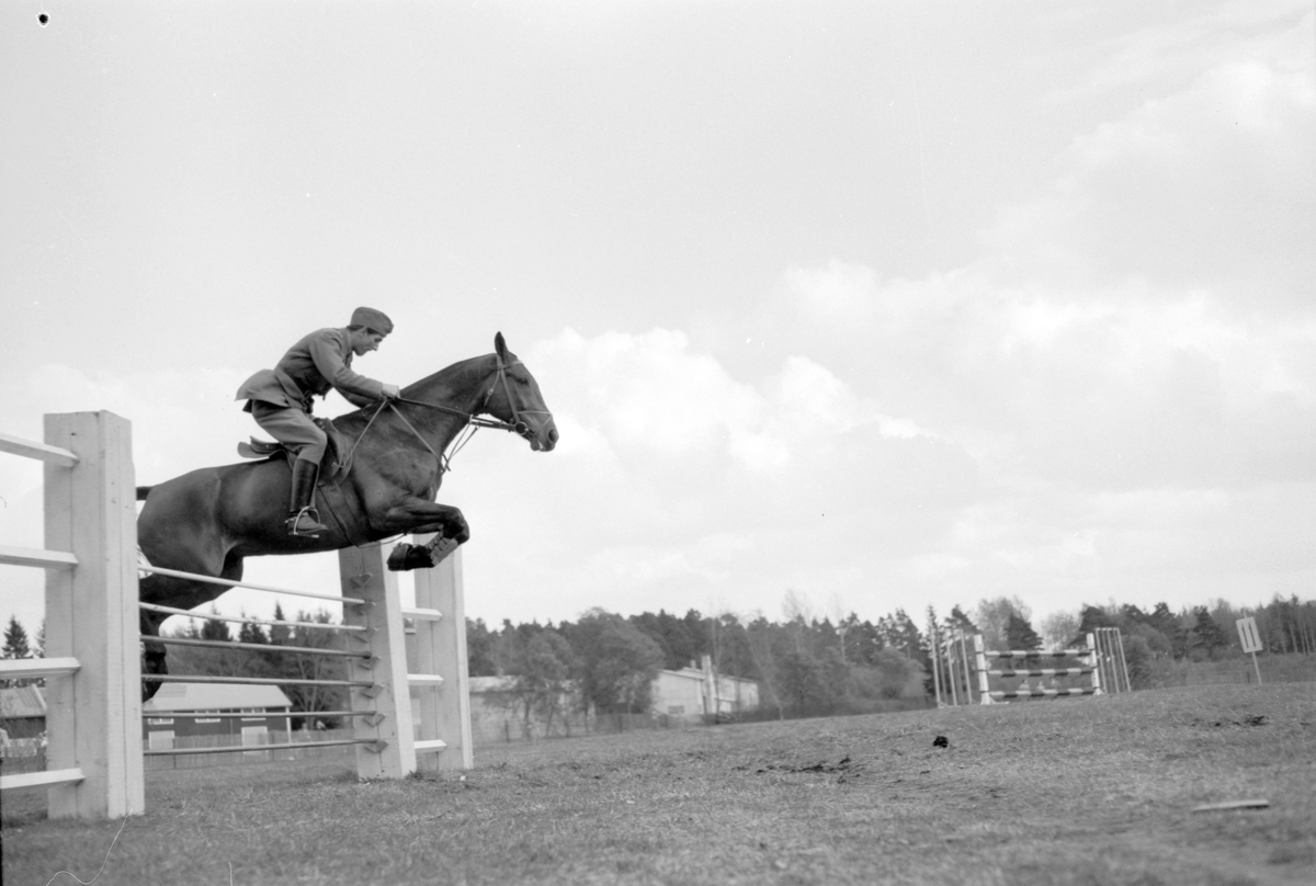 Hästhoppning.. I 14. Den 17 maj 1953