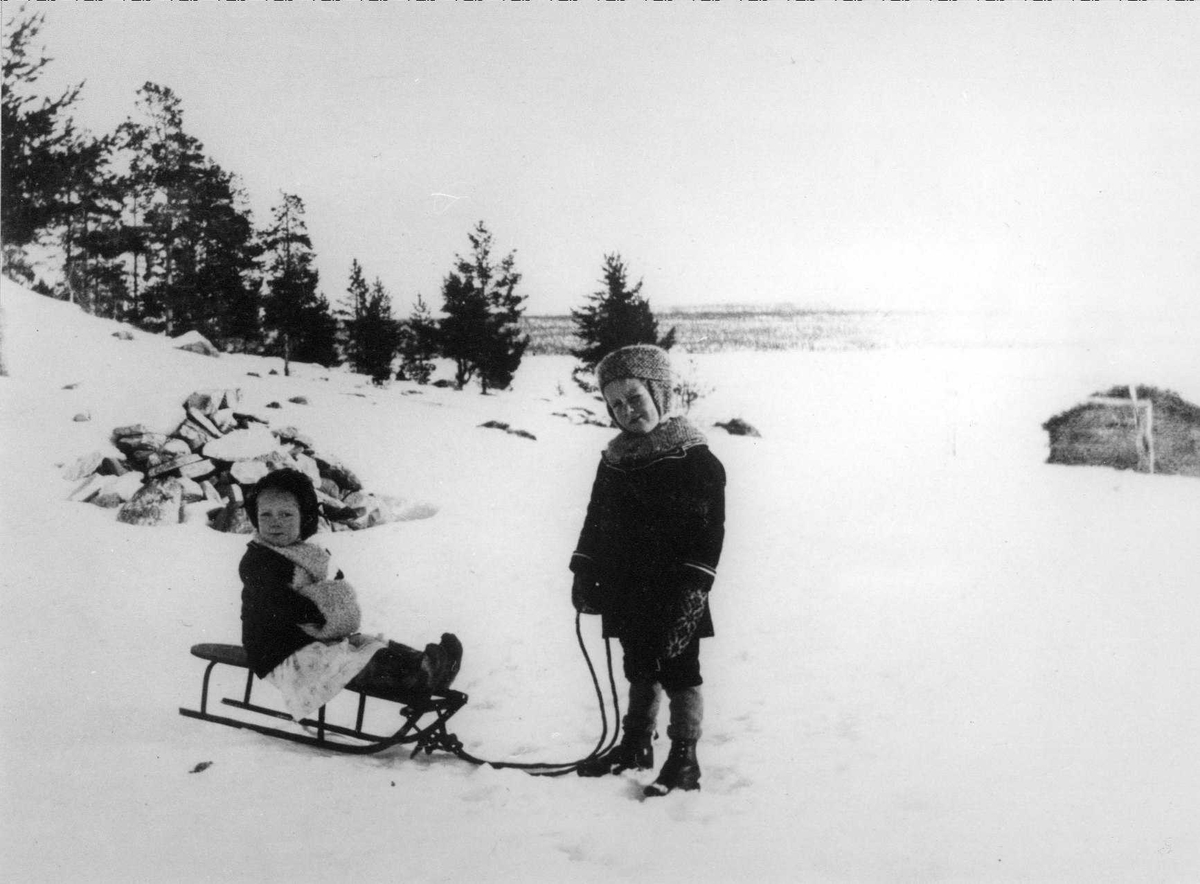 Barn, slede, Jonasvollen 1919, Leif Svendsen, Gudrun (Liseth) Svendsen. 