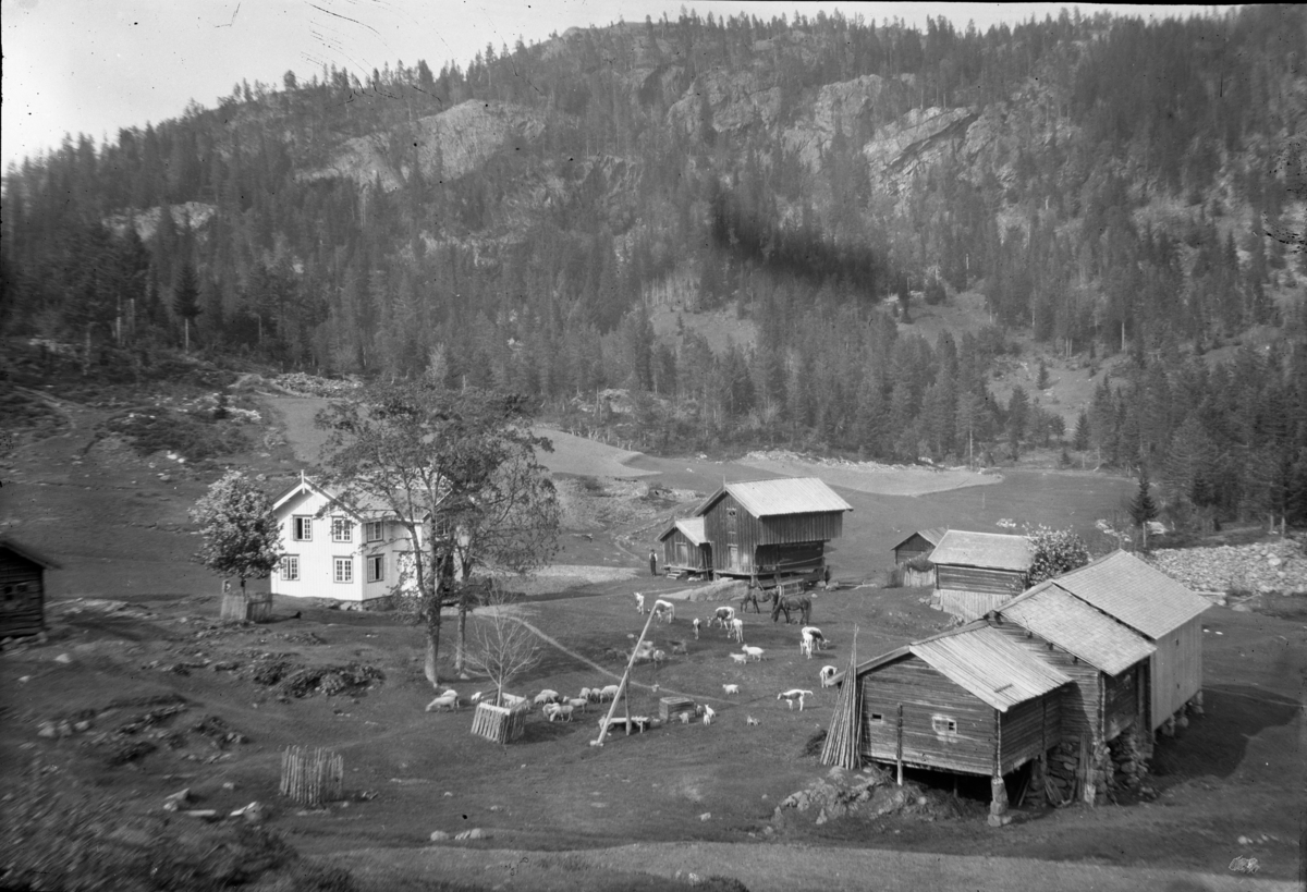 Rikard Berges fotoarkiv. Gårdstun, Østtveiten, Seljord. Fotografert 1915.