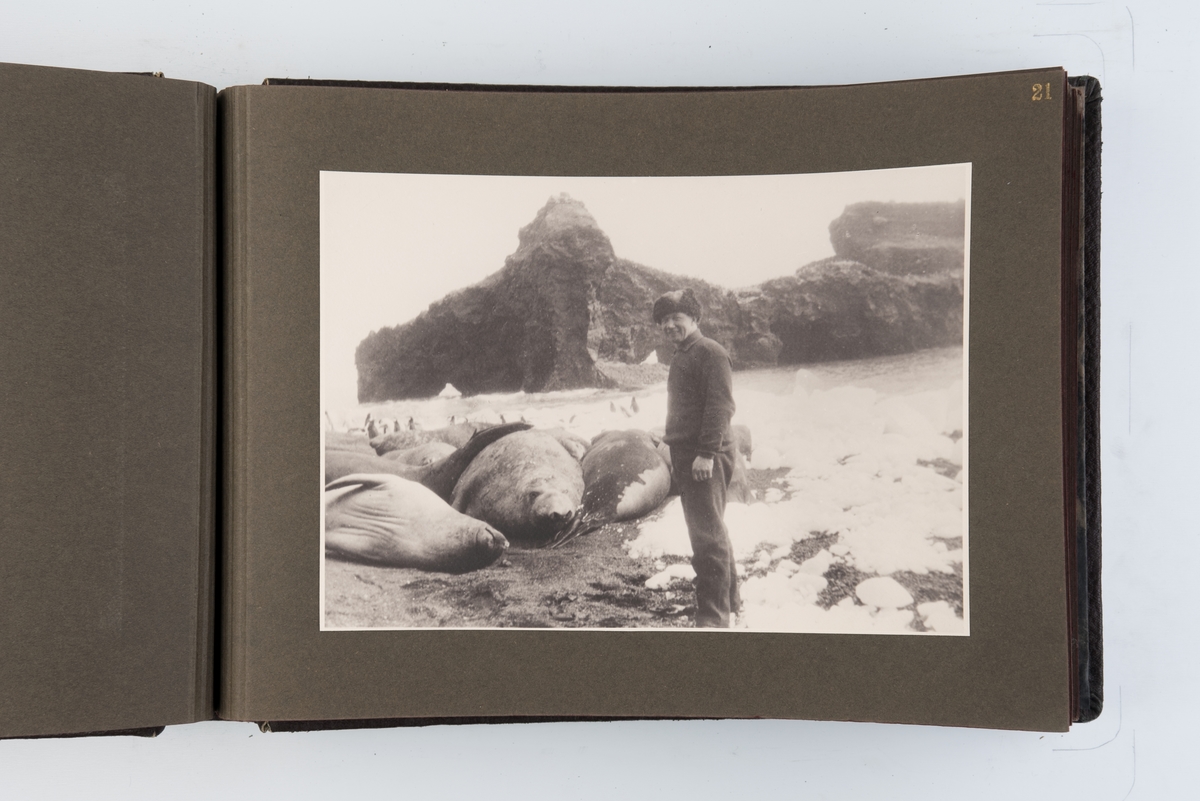 Fotoalbum med 40 fotografier og ett kart fra Norvegiaekspedisjonen til Bouvetøya 1927-1931.