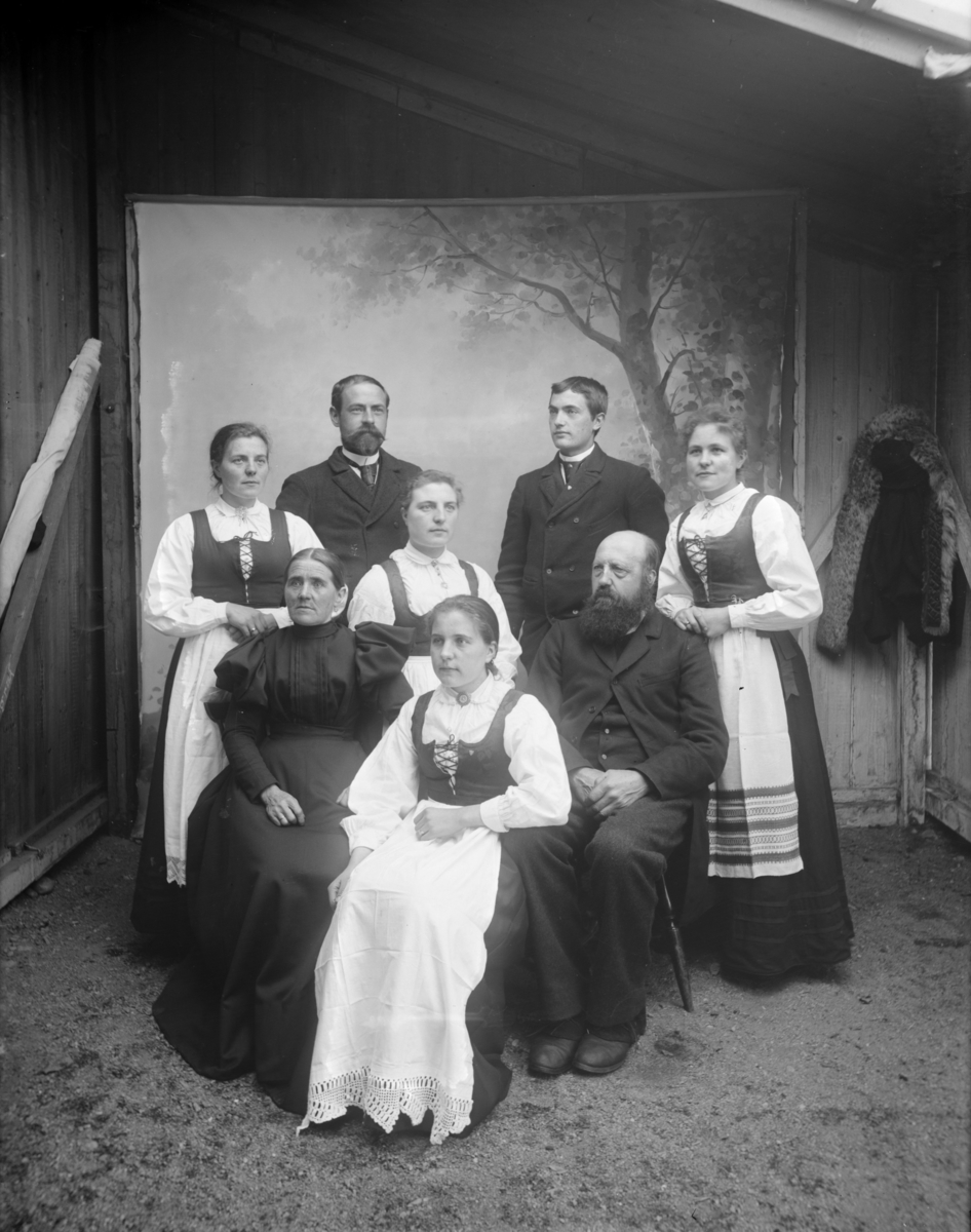 Antatt familiebilde med 8 personer og to generasjoner med ektefeller. Atelierfoto (provisorisk ved reisverksbygning) fra Gudbrandsdalene eller sidedalene i tidsrommet 1890-97