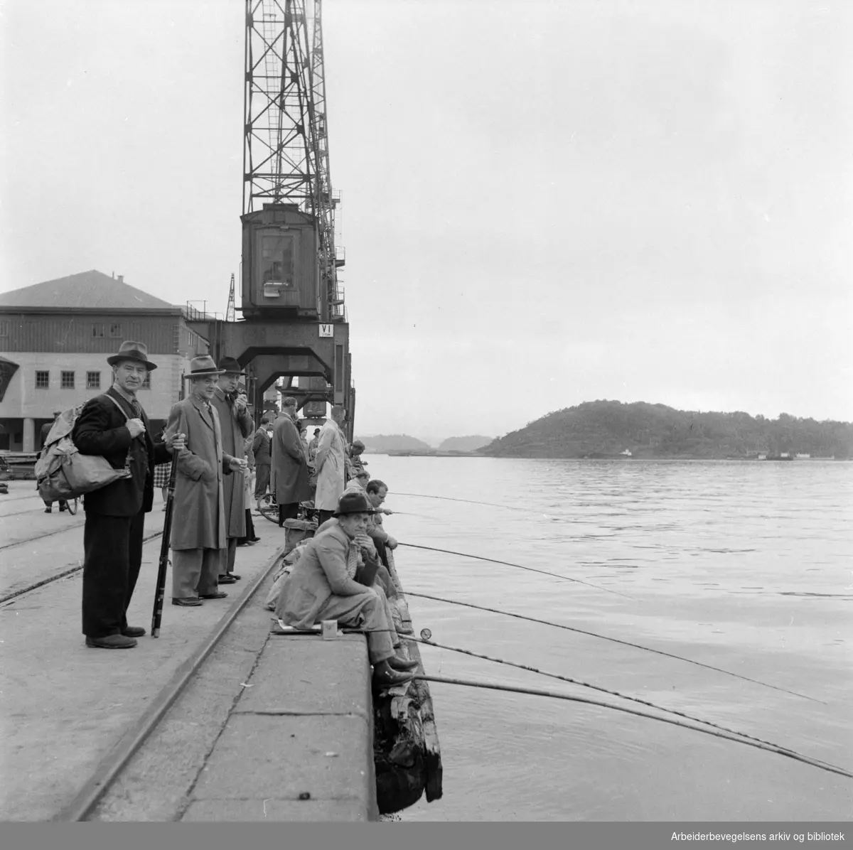 Havna. Bryggefiskere. September 1953